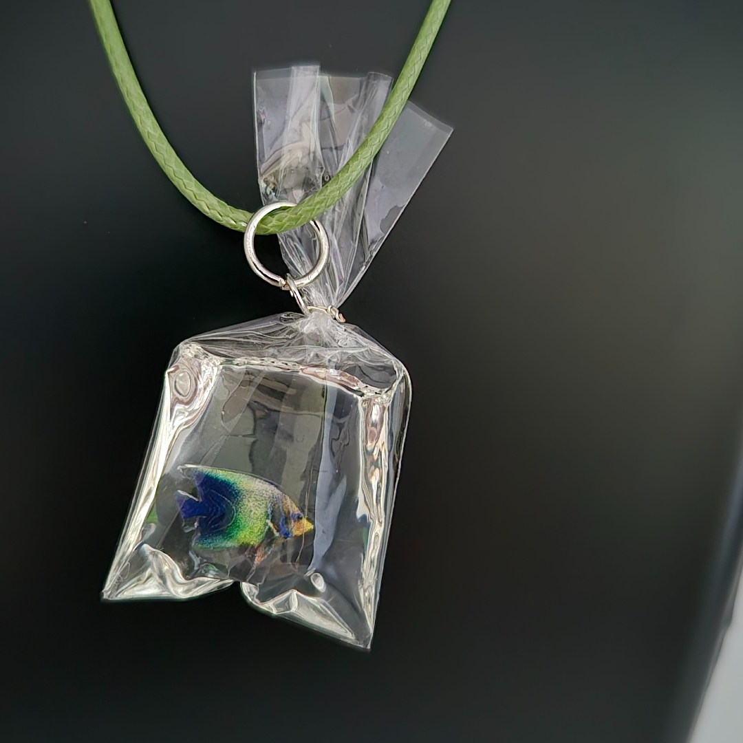 Fisch in Tüte Blau-Grün