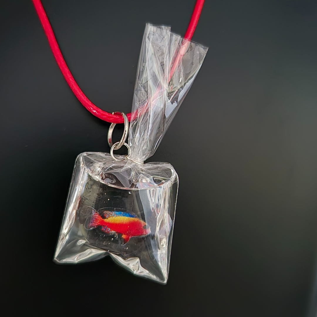 Fisch in Tüte Blau-Rot